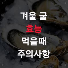 겨울 굴 효능 먹을 때 주의 사항 글씨 썸네일 이미지