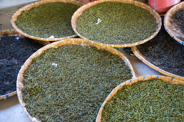 보이차 끓이는법