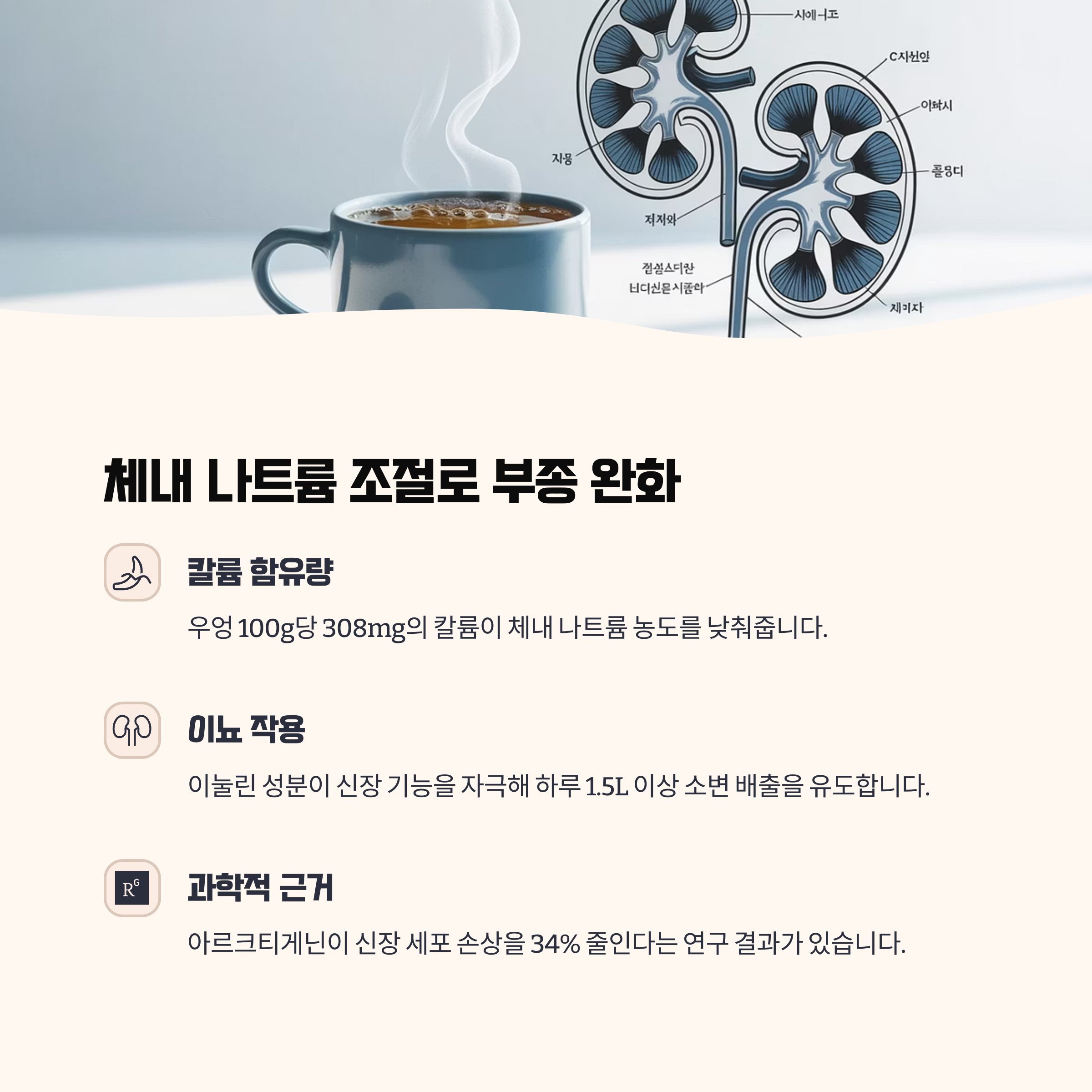 체내 나트륨 조절과 이뇨 작용