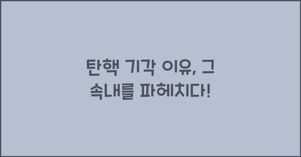 탄핵 기각 이유