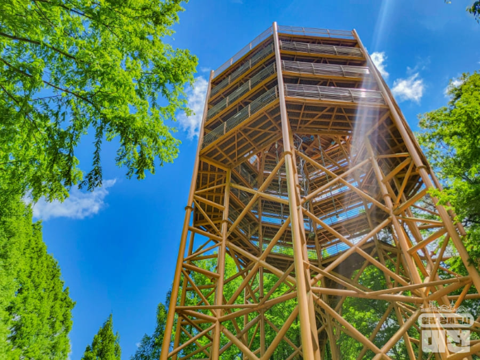 장태산 자연휴양림 야영장