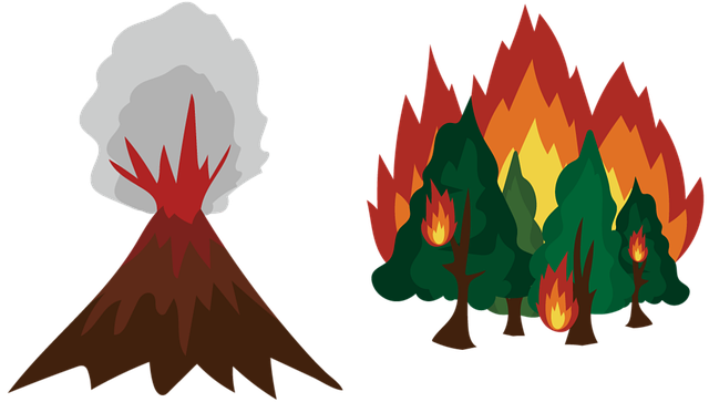 산재보험 신청하기