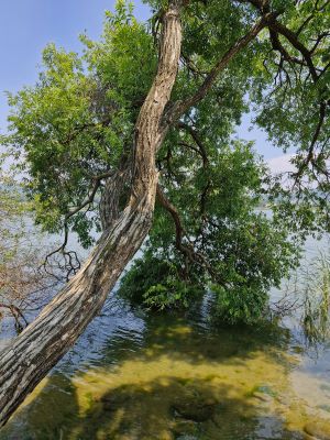 물의 정원 산책로