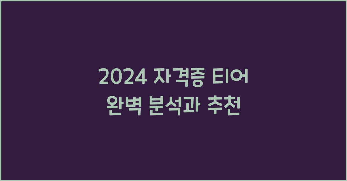 자격증 티어
