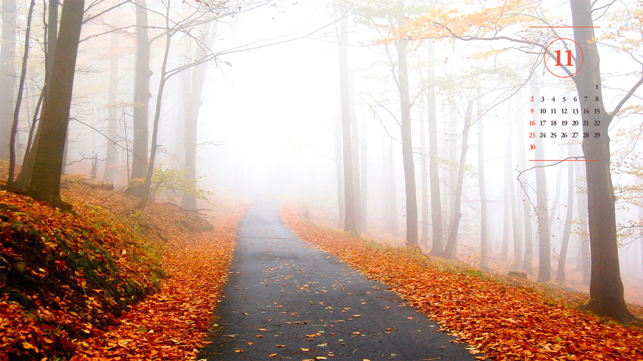 01 안개 낀 단풍길 A - 2025년11월 노트북배경화면