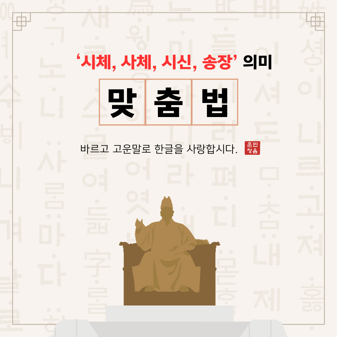 사람이 죽은 뒤에 남은 몸 - 시체, 사체, 시신, 송장 의미 및 차이점