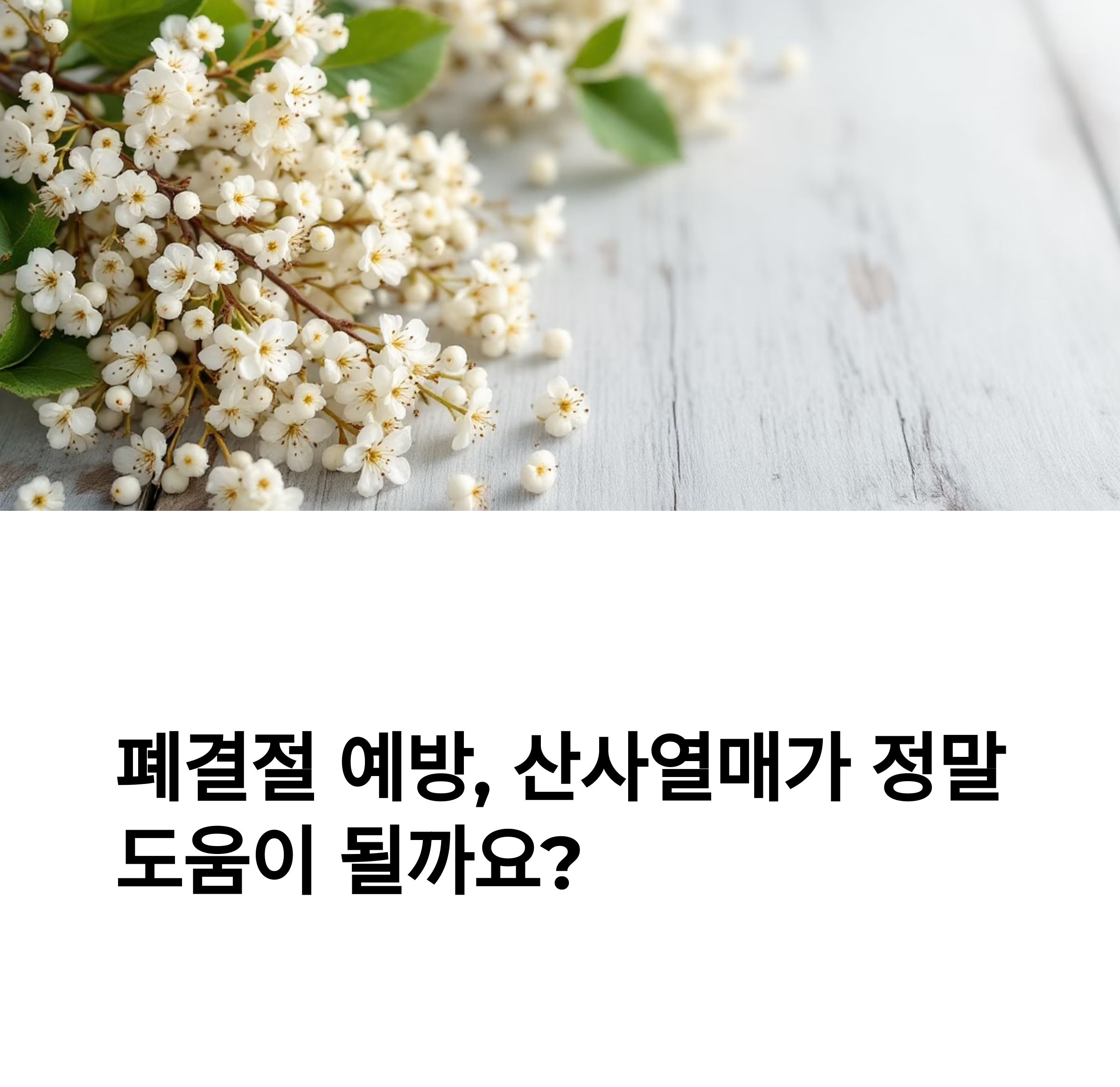 산사열매는 도움이 될까? 효능과 한계 분석