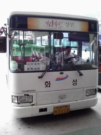 태백 고한 도계 시외버스 터미널 시간표 예매 요금_18