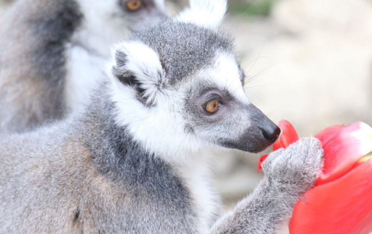 대구 네이처파크