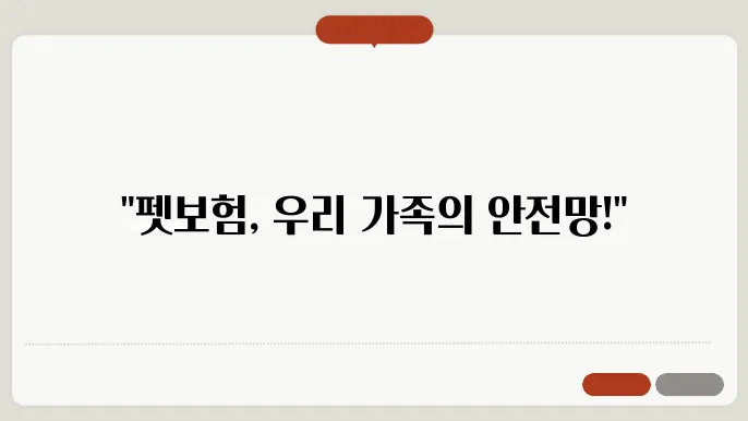 펫보험으로 시작하는 안전한 반려생활