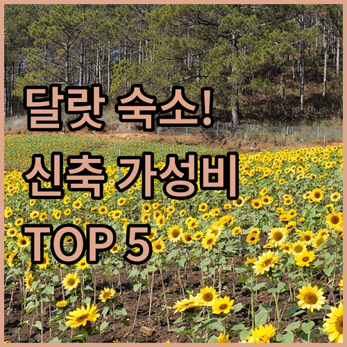 베트남 달랏 숙소 추천 TOP 5 가..