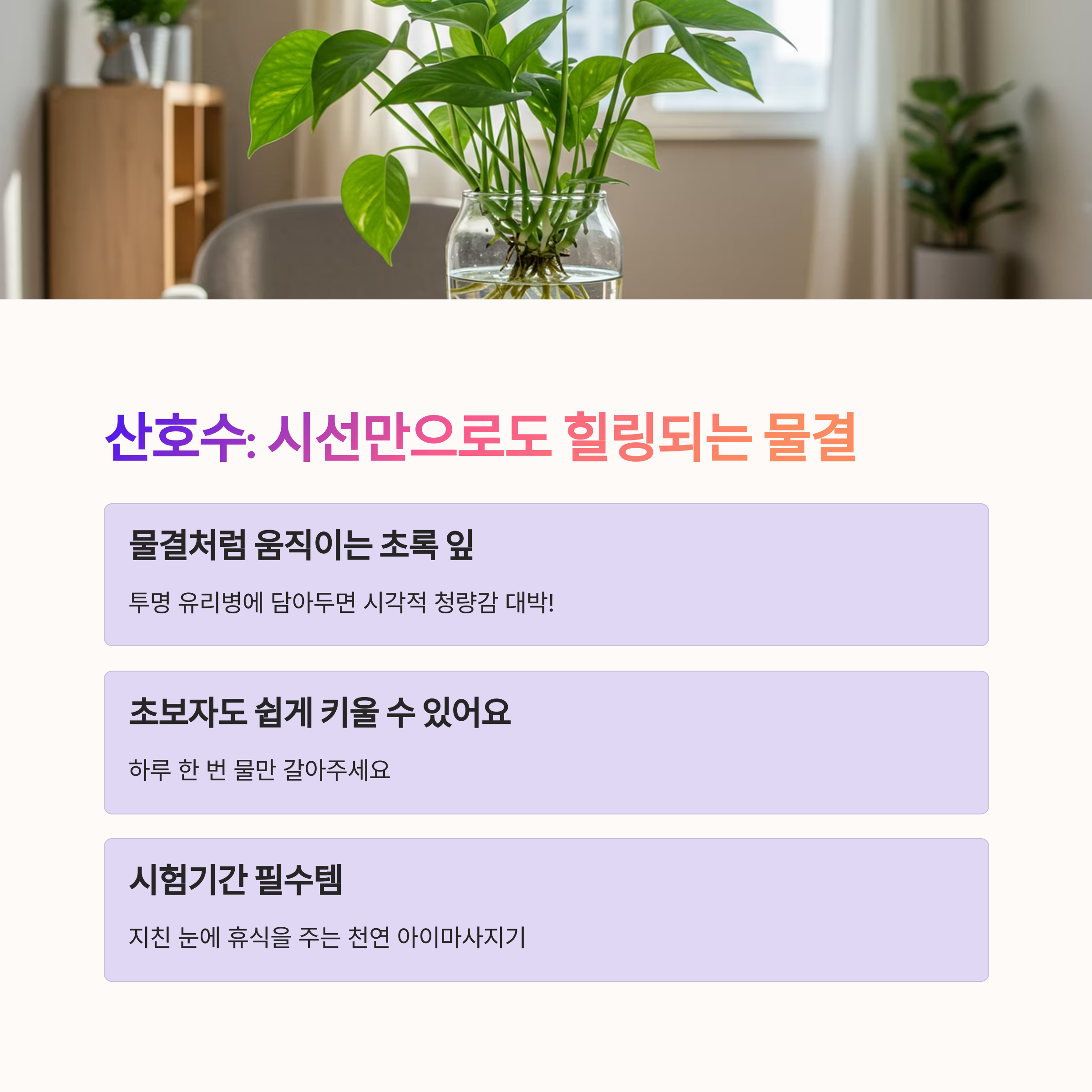 산호수 – 시선만으로 힐링되는 초록