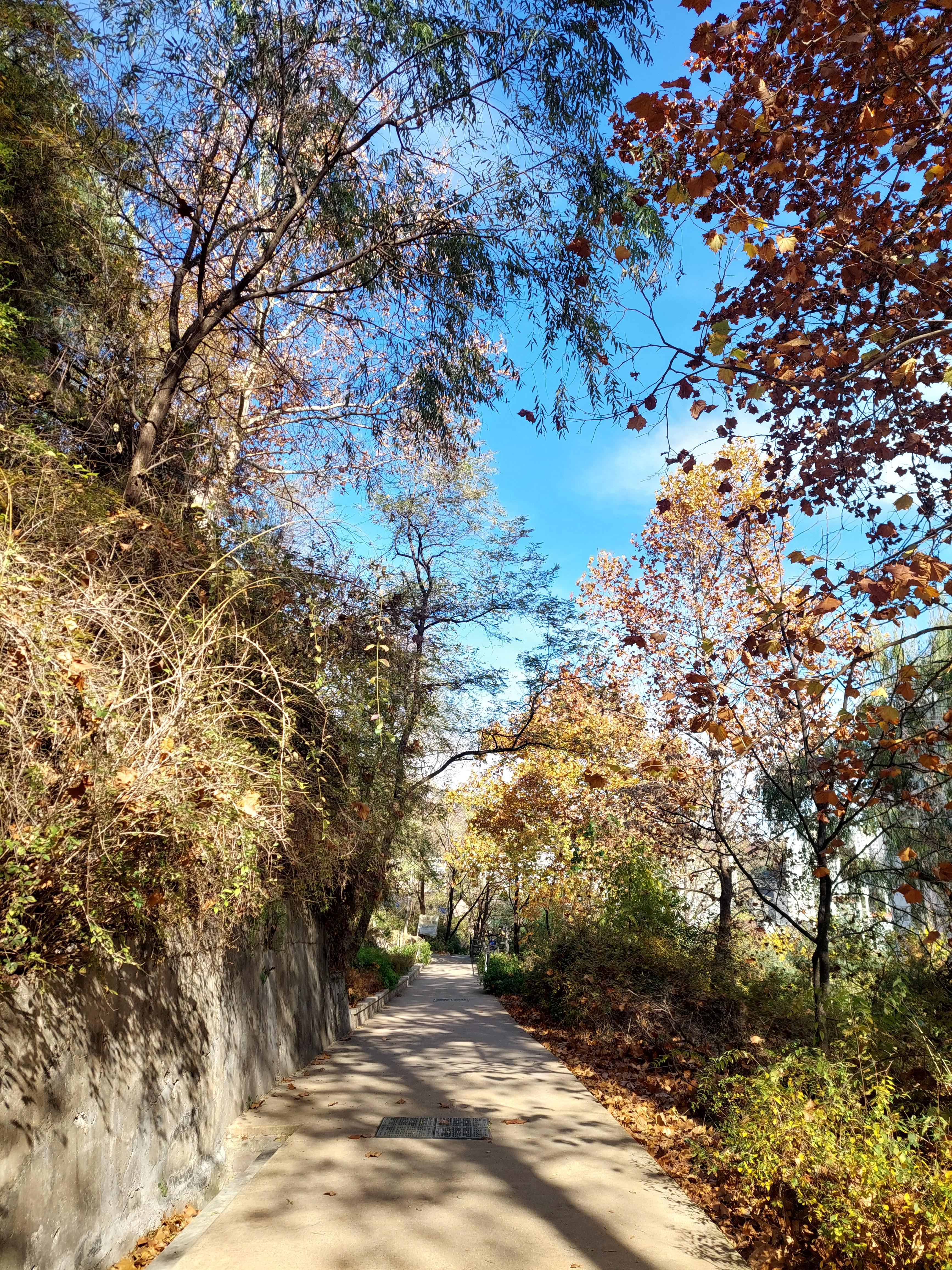 안산