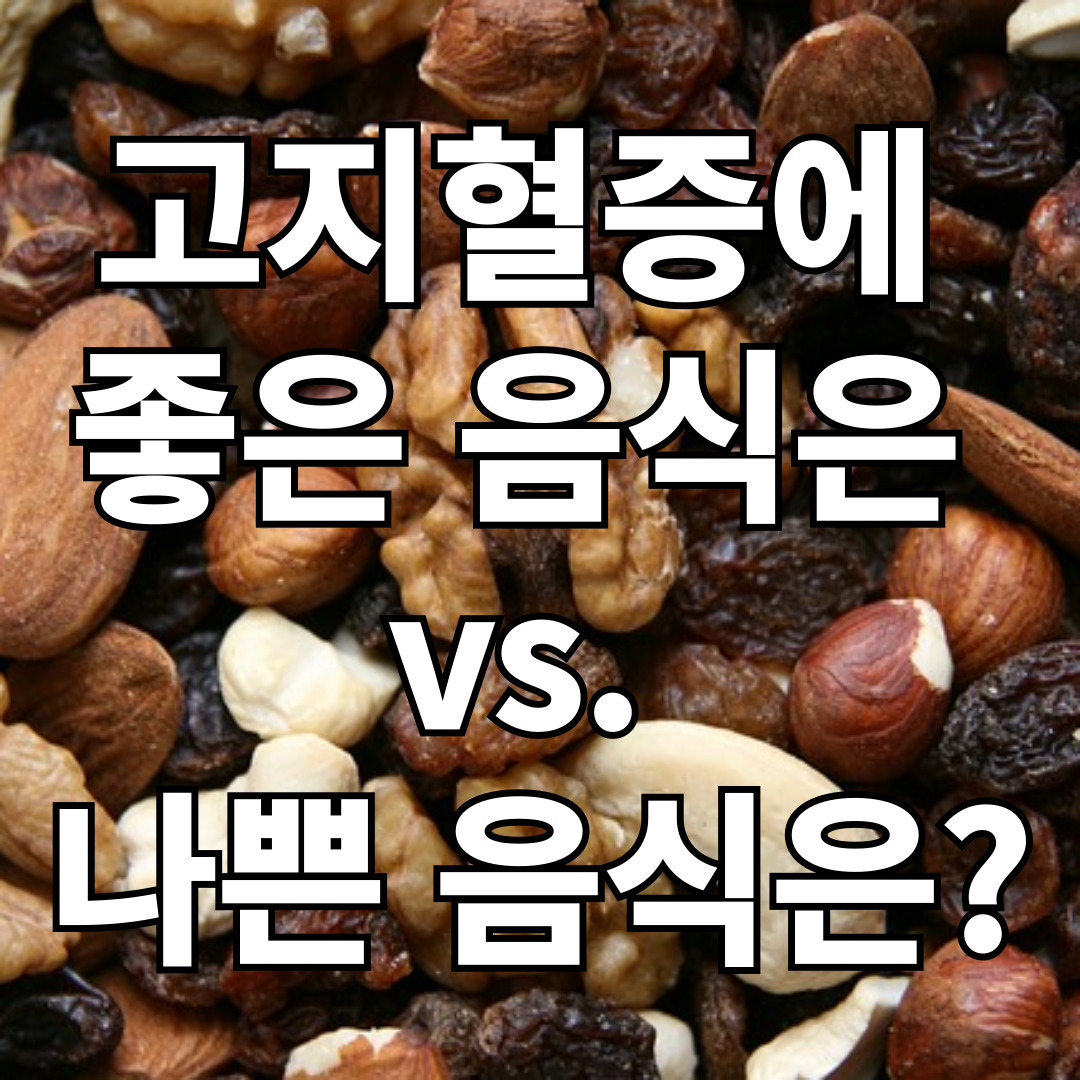 고지혈증에 좋은 음식은&#44; 나쁜 음식은