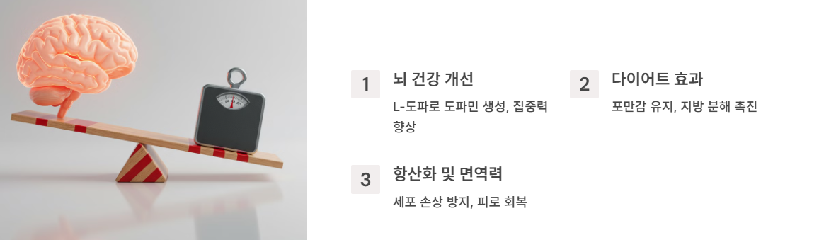 제비콩의 주요 효능