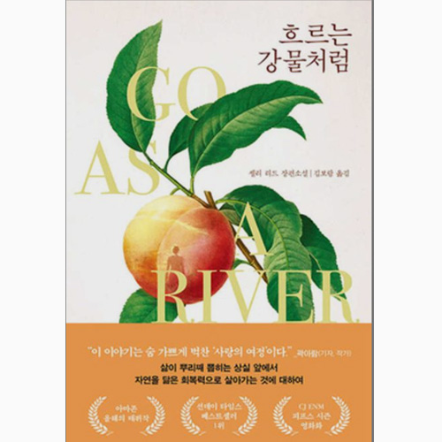 흐르는 강물처럼 소설