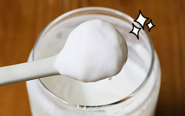 유산균 배양 유산균 생균 추천