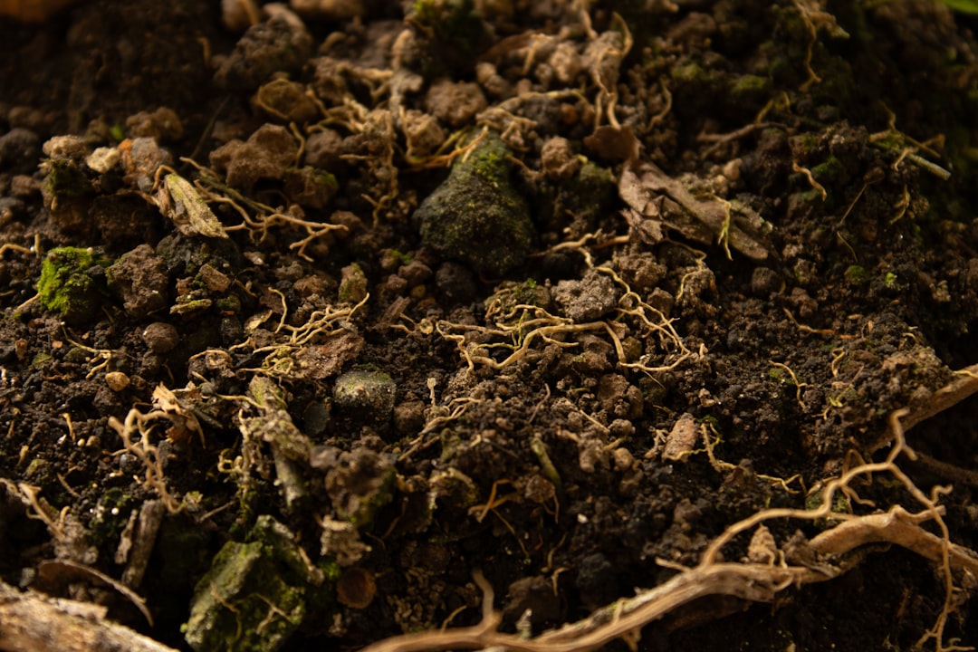 Soil