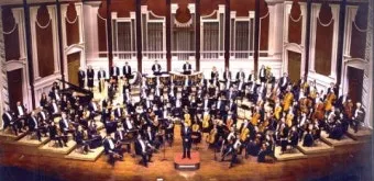 오케스트라를 구성하는 클래식 악기들의 종류와 특징을 정리_9