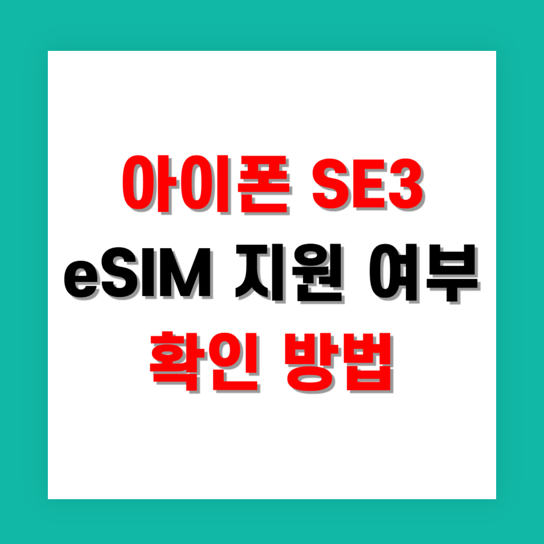 아이폰 SE3 eSIM 지원 여부 확인 방법