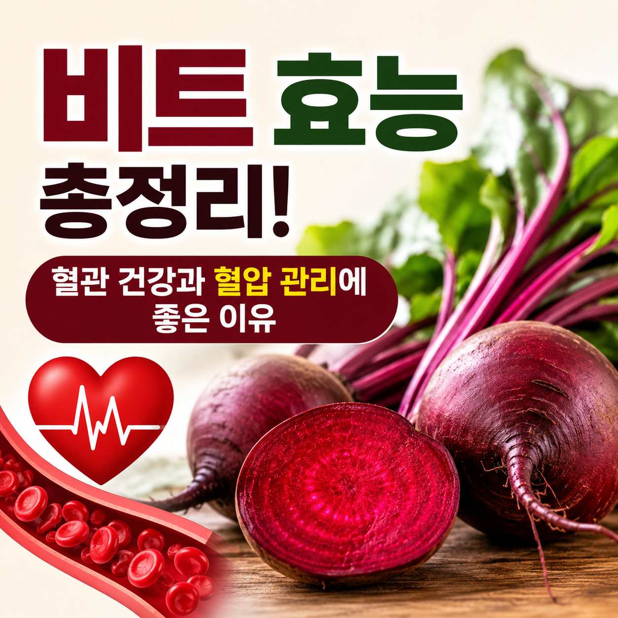 비트 효능