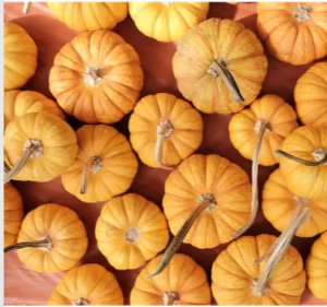 위염에 좋은 음식 Best 12