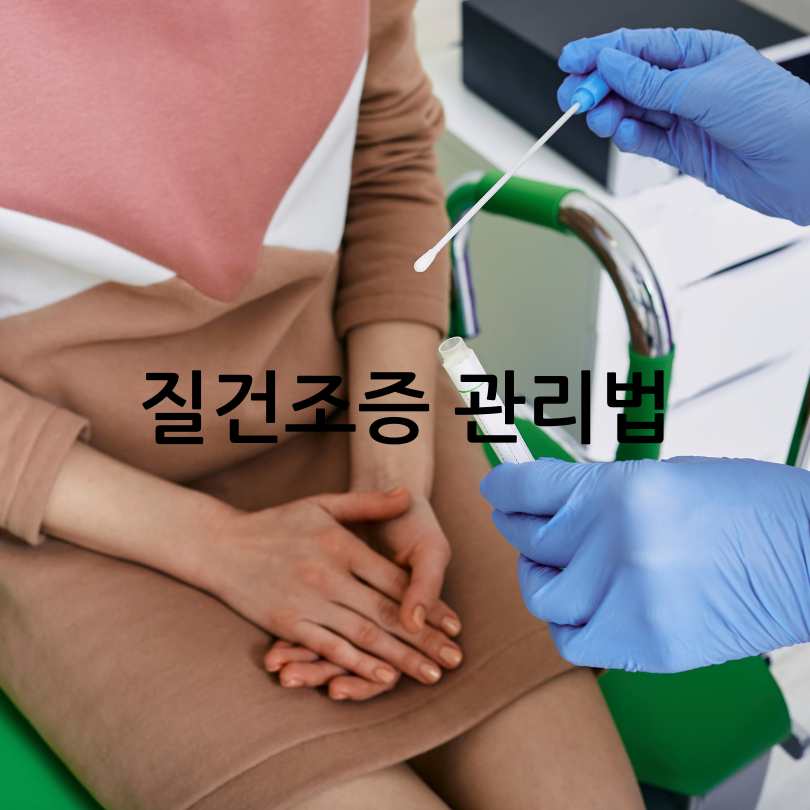 갱년기 여성의 질건조증