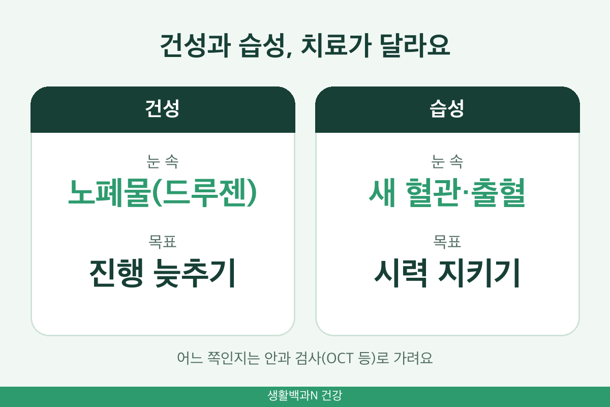 건성 황반변성과 습성 황반변성 차이 드루젠 신생혈관 치료 목표