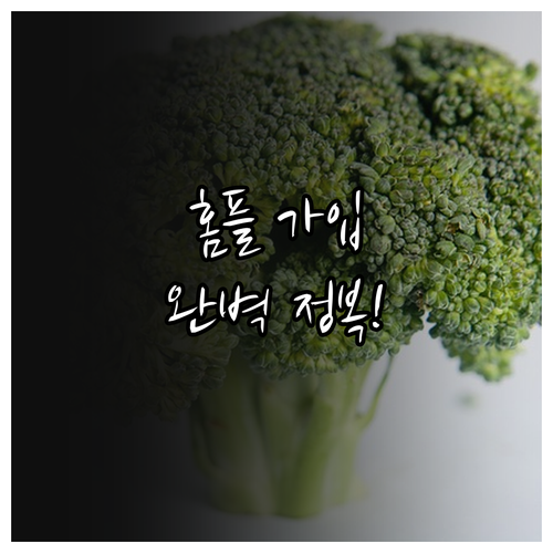 홈플러스 앱 설치 방법 및 회원가입 ..