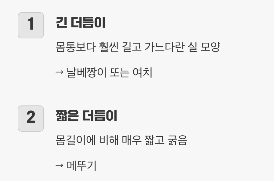 더듬이 길이, 가장 확실한 첫 번째 단서