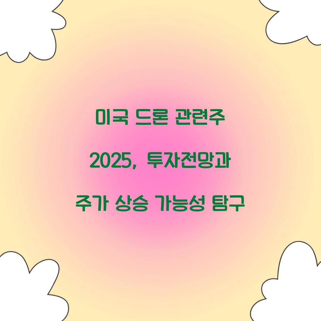 미국 드론 관련주 2025