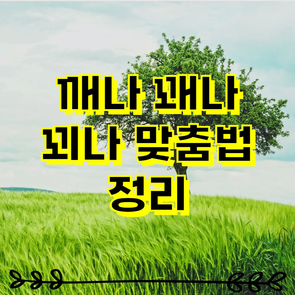 깨나 꽤나 꾀나 맞춤법 정리