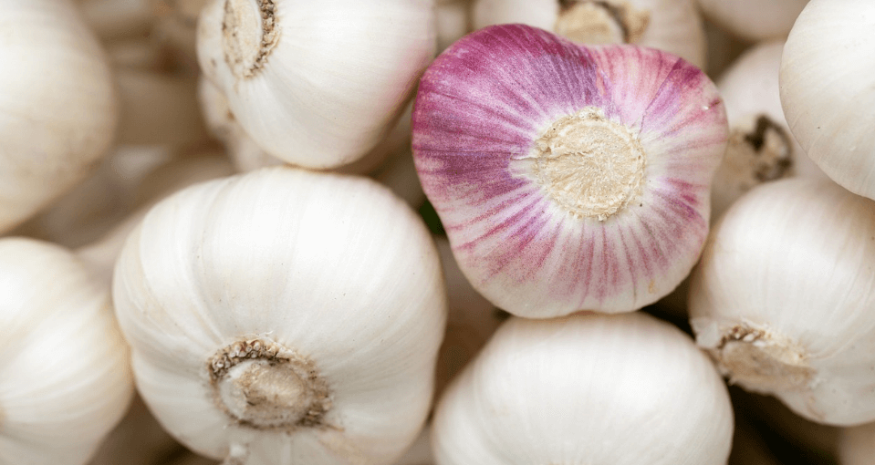 장 건강에 좋은 음식과 관련 된 사진 - 14