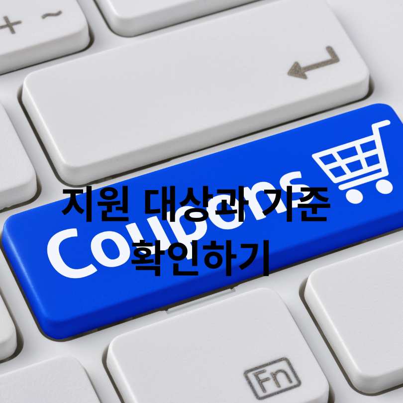 서울 소비쿠폰 2차 접수 시작!