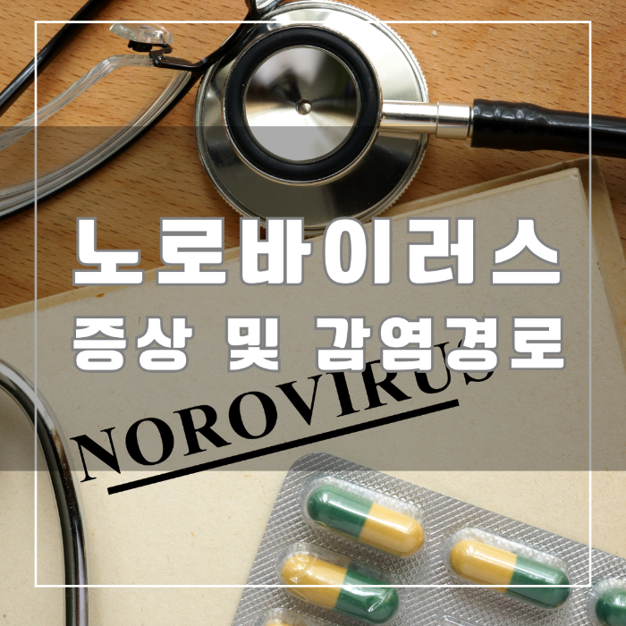 노로바이러스 증상 및 감염경로
