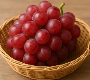 포도 종류