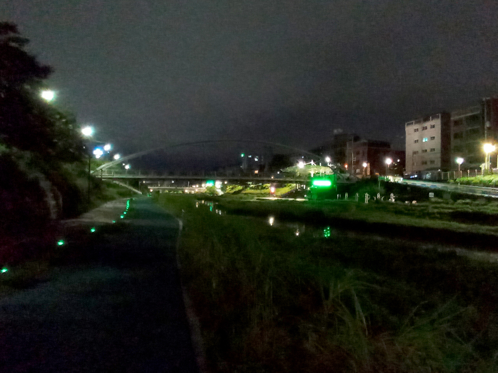 서삼구 달빛따라걷기 챌린지