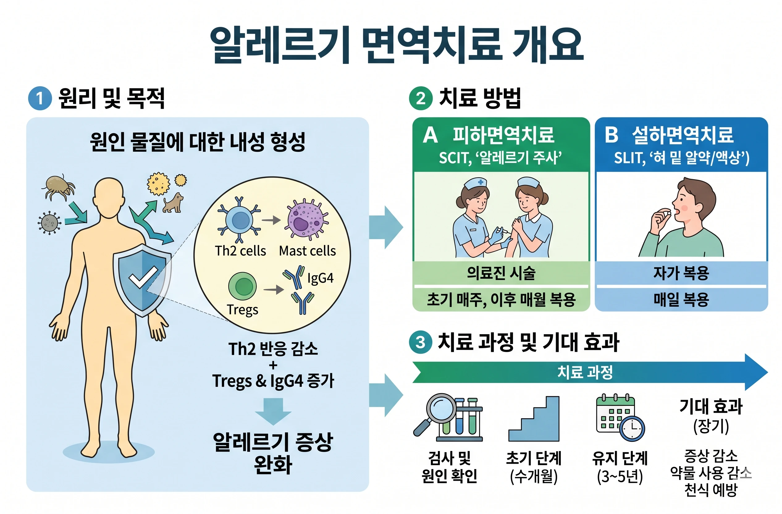 면역치료 방법 이미지