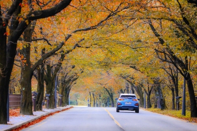 설악산-케이블카-사전-예약-불가!-현장-구매-방법&amp;#44;-요금&amp;#44;-운영시간