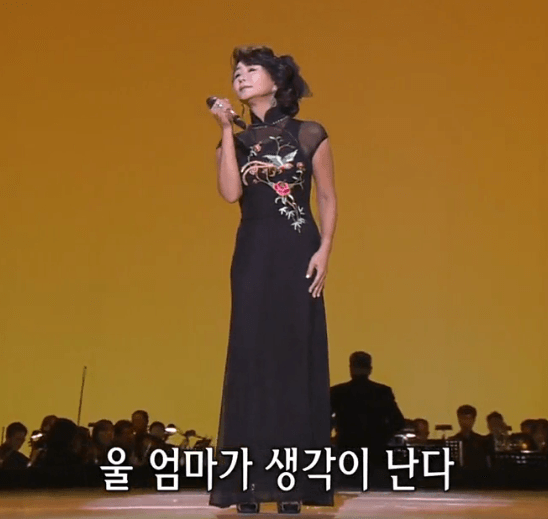 진미령(나훈아) 홍시 노래 정보