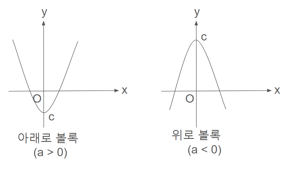 2차식 그래프