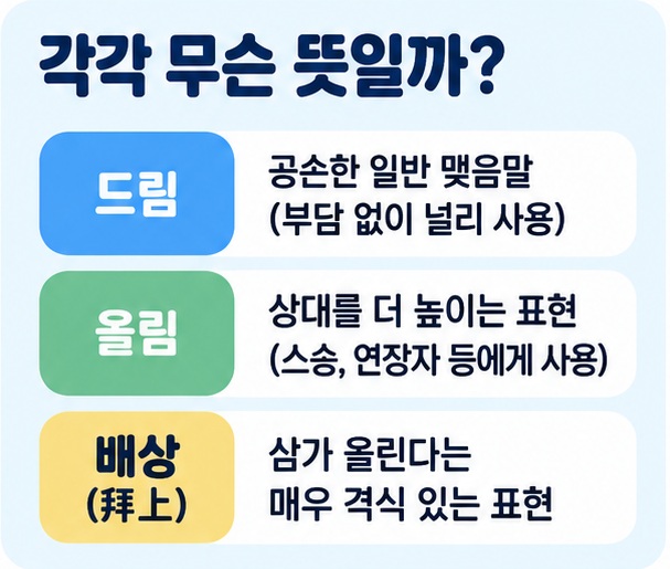드림 올림 배상의 뜻과 높임 정도 및 주로 사용하는 상황을 비교한 이미지