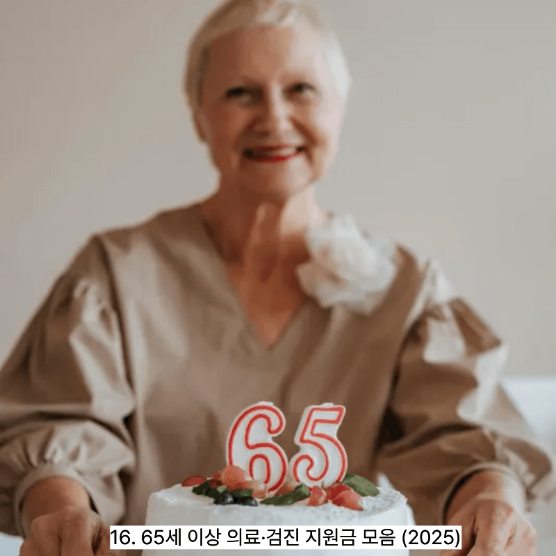 16. 65세 이상 의료&middot;검진 지원금 모음 (2025)