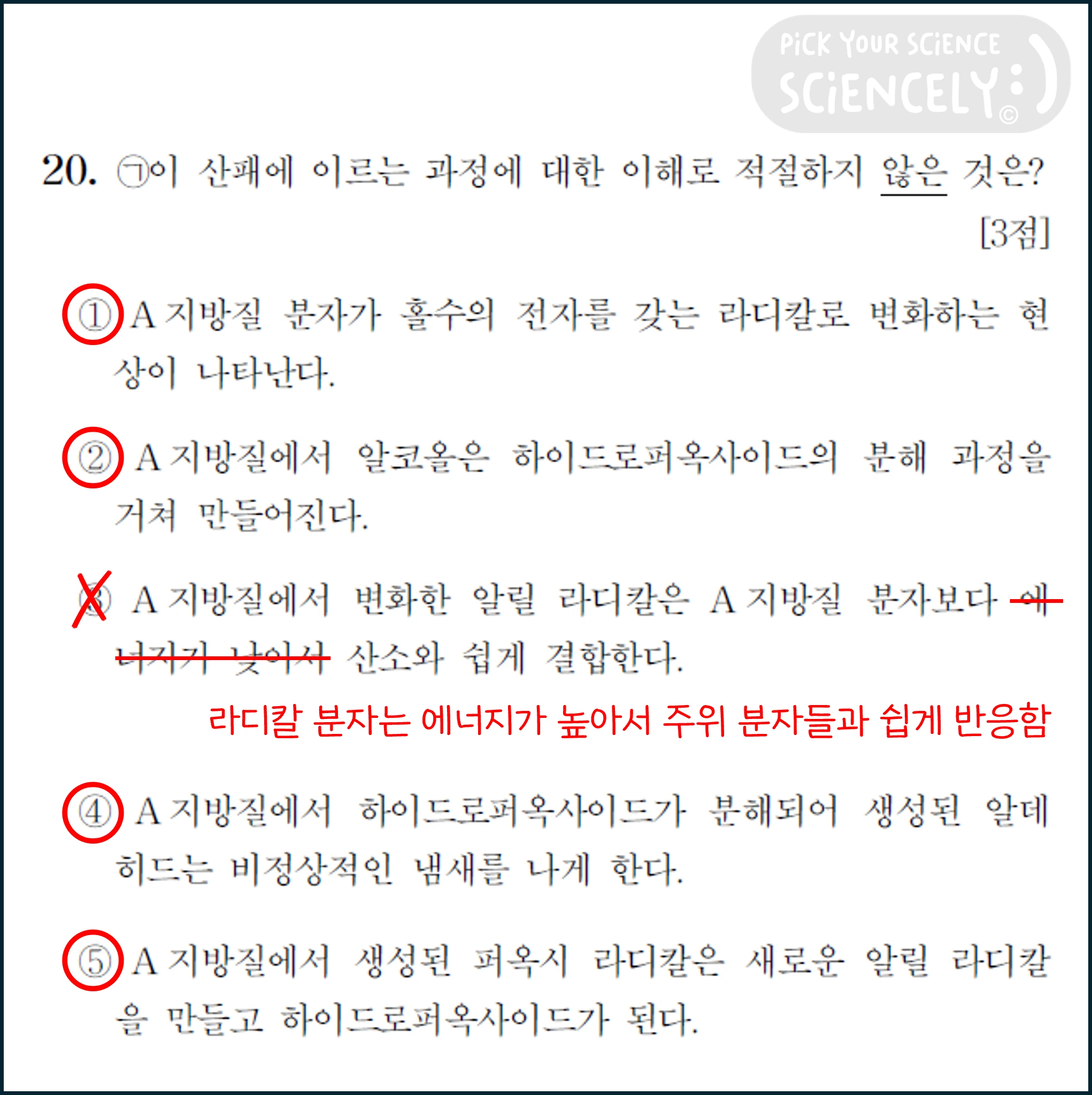 국어 독서 과학기술, 국어 비문학 과학기술, 16학년도 고3 9평 A형 Q19-21, 지방질의 산패, 20번 문제 풀이