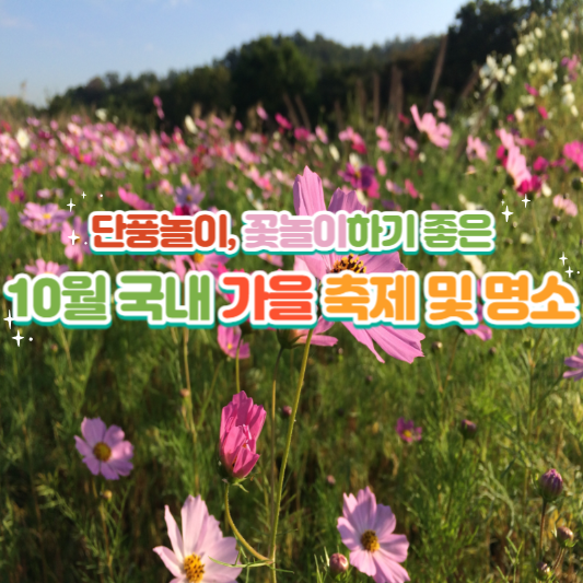 10월 국내 가을 축제 및 명소
