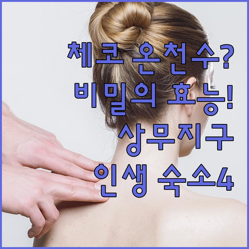 체코 카를로비 바리 온천수 효능 분석..