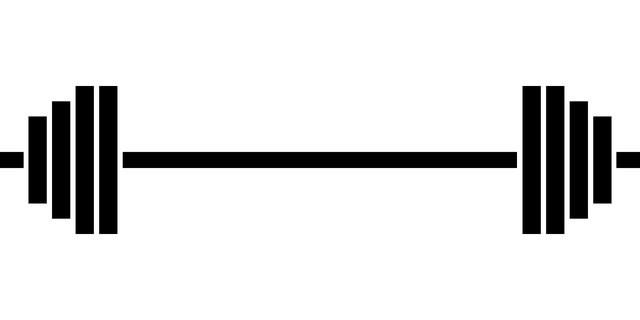 역도기본원칙