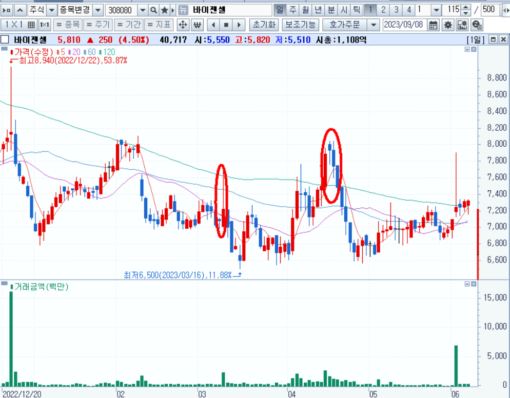 2023 AACR 참가기업