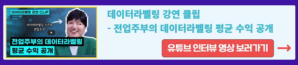 크라우드웍스 데이터라벨링 보러가기