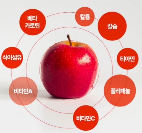 애사컷정-다이어트